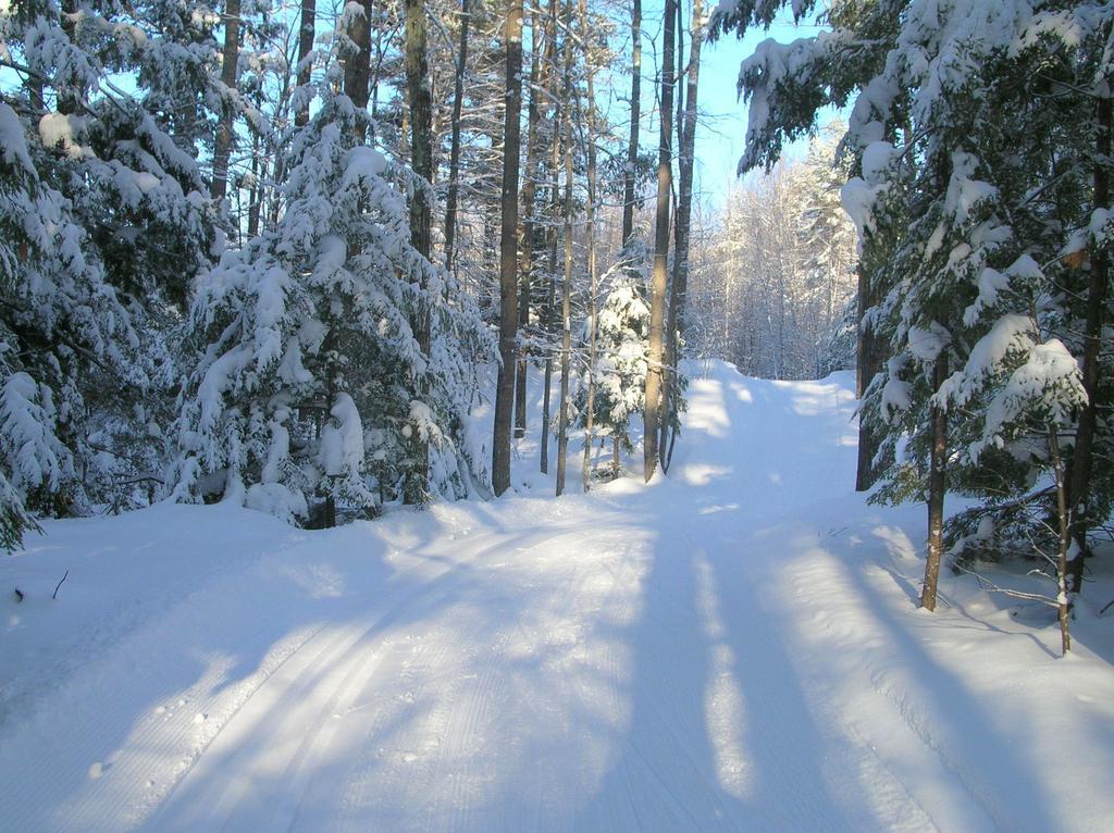 Wolfeboro Inn Екстер'єр фото
